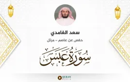 سورة عبس سعد الغامدي استماع وتحميل