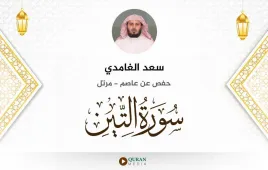 سورة التين سعد الغامدي استماع وتحميل