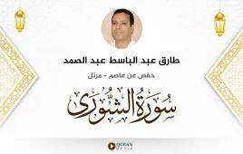 سورة الشورى طارق عبد الباسط عبد الصمد استماع وتحميل