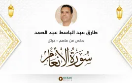 سورة الأنعام طارق عبد الباسط عبد الصمد استماع وتحميل