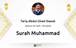 Surah Muhammad by Tariq Abdul Ghani Daaob download & Listen — Qaloon An Nafi